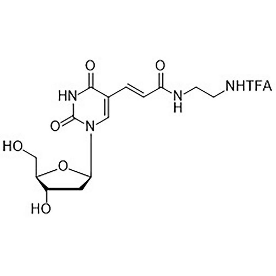 5-[N-(2-(Trifluoroacetamido)ethyl)-3-(E)-acrylamido]-2'-deoxyuridine